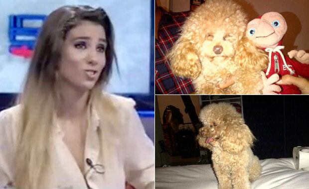 Cinthia Fernández y un desesperado ruego por su perro. (Foto: Twitter)