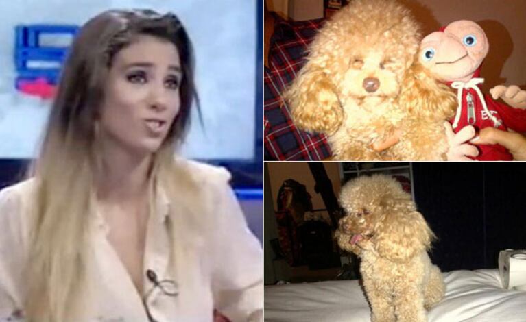 Cinthia Fernández y un desesperado ruego por su perro. (Foto: Twitter)