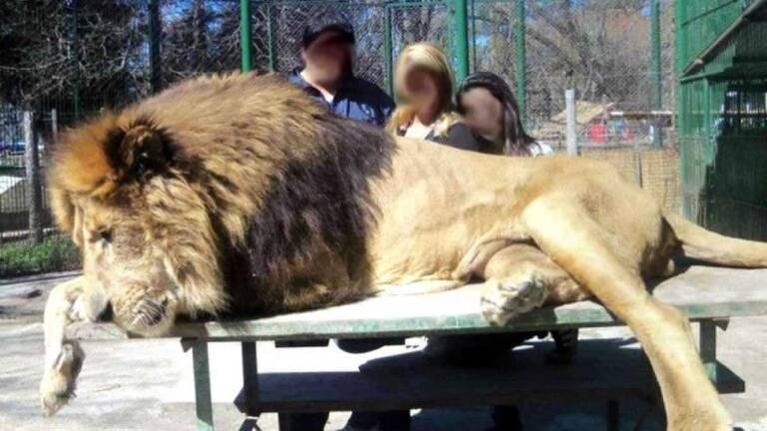 Clausuraron el zoológico de Luján
