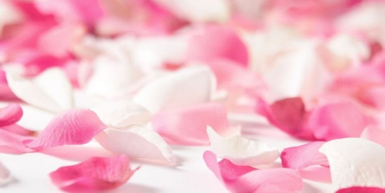 Cómo beneficia el agua de rosas a la piel