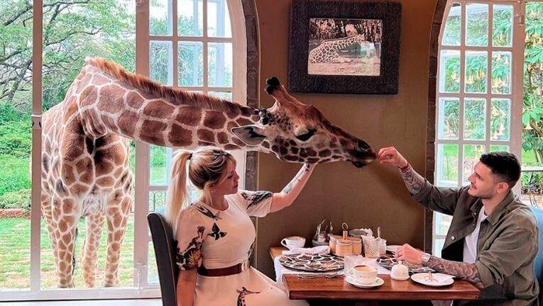 Cómo es el lujoso y exótico hotel de las jirafas donde vacacionan Wanda Nara y Mauro Icardi.