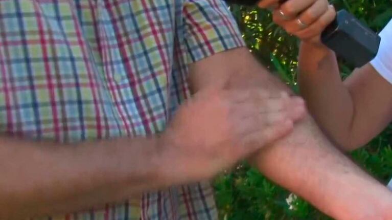 Cómo se combate a los mosquitos con plantas (Foto: captura de Eltrece)