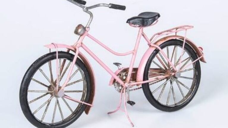 Compro por internet una bicicleta con descuento y cuando la fue a buscar se llevó una sorpresa