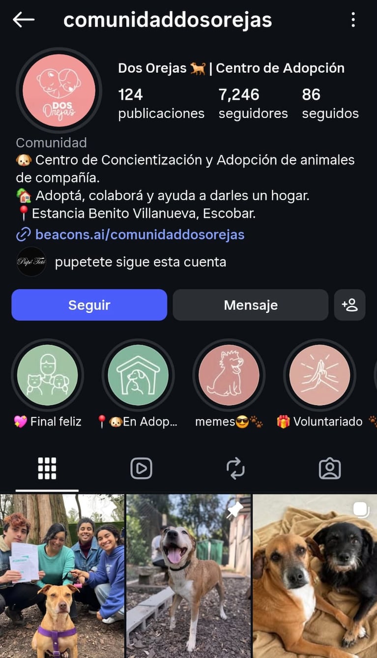 Comunidad Dos Orejas, centro de adopción de mascotas (Foto: Instagram/@comunidaddosorejas).