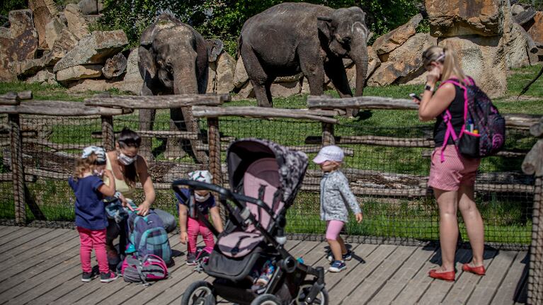 Con nuevos animales exóticos nacidos durante la cuarentena, reabre el Zoo de Praga. Foto: EFE.