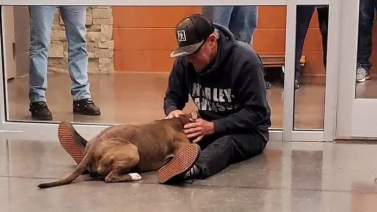 Conmovedora reacción de un perro al reencontrarse con su dueño tras 200 días separados