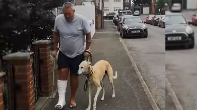  Conoce a Bill, un perro empático al que tardaron en descubrir que no era cojo, sino que imitaba la cojera de su dueño