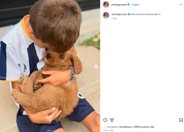 Conocé a Francisco, el nuevo perrito de Amalia Granata (captura de Instagram)