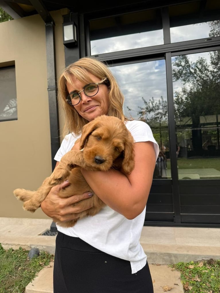 Conocé a Francisco, el nuevo perrito de Amalia Granata (captura de Instagram)