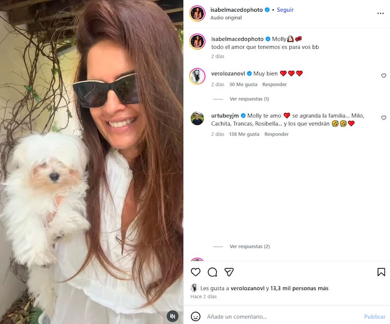 Conocé a Molly, la nueva perrita de Isabel Macedo y de su familia (captura de Instagram)