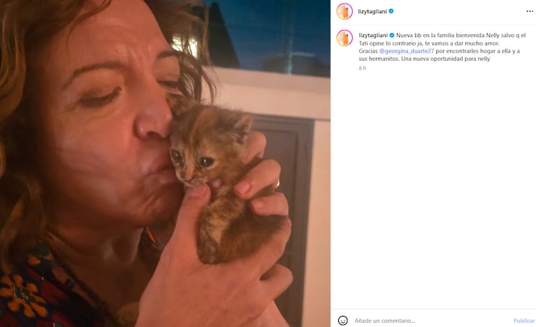 Conocé a Nelly, la nueva gatita de Lizy Tagliani (captura de Instagram)