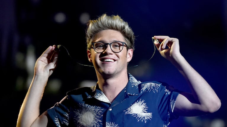 Conocé más sobre la carrera musical de Niall Horan