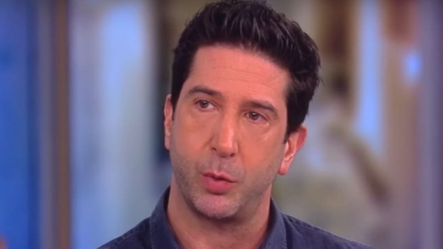 Conocé un poco más acerca de la vida y carrera de David Schwimmer 