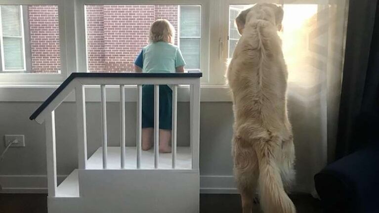Construye un fuerte para que su hijo pueda ver por la ventana con su mejor amigo. Foto: Animales queridos.