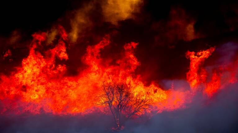 Continúa en Jujuy la lucha contra los incendios forestales, que ya afectaron más de 24 mil hectáreas