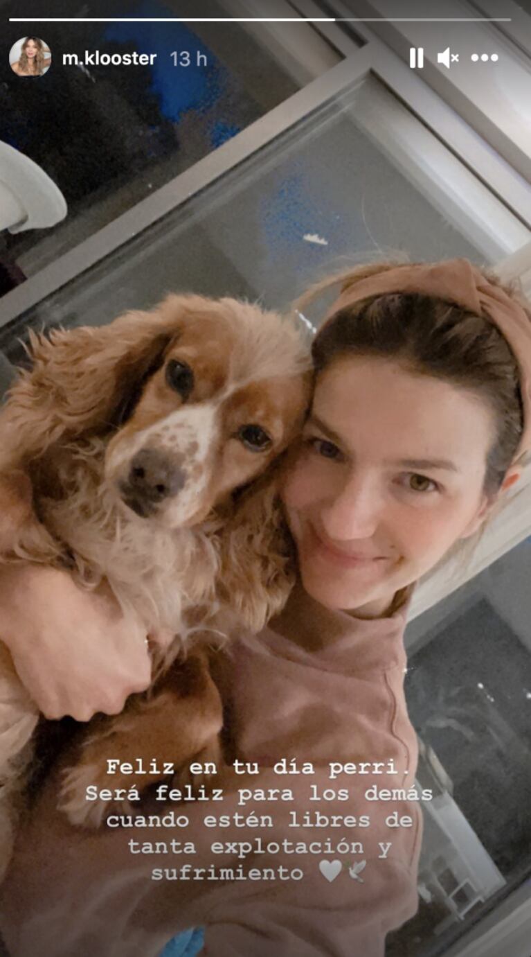 Contundente mensaje de Marcela Kloosterboer contra el maltrato animal: "Serán felices el día que estén libres de explotación"