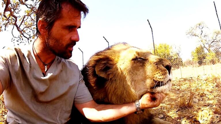 Corazón de León (un amor casi imposible) en Telenoche y TN.com.ar.