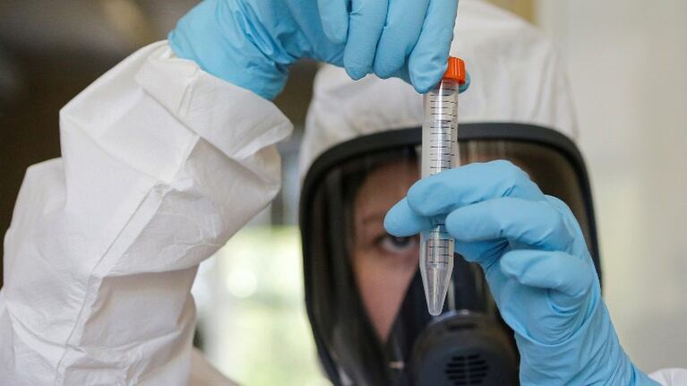 Coronavirus: varios países de América latina interesados en la vacuna. Foto: EFE.