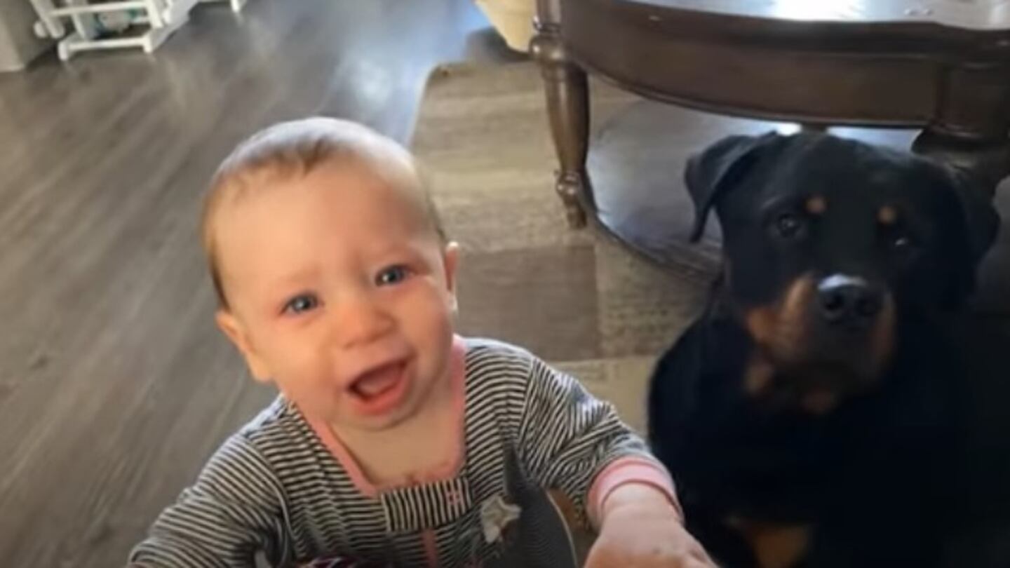 Cuando este bebé de nueve meses comenzó a llorar, el perro de la familia hizo algo para calmarla