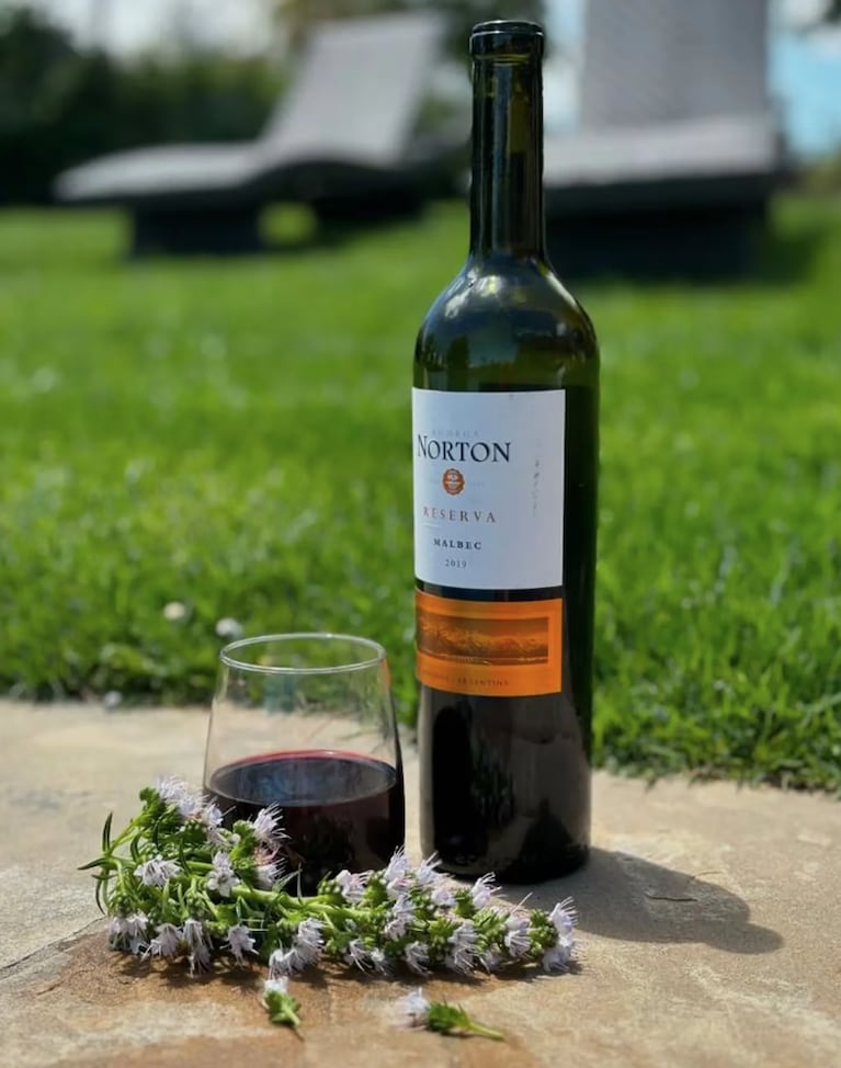 Cuánto cuesta el vino argentino que enamoró a Britney Spears 