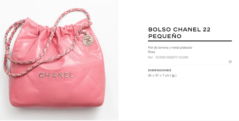 Cuántos miles de dólares cuesta la cartera de Antonela Roccuzzo en Miami: es Chanel y de estilo barbiecore