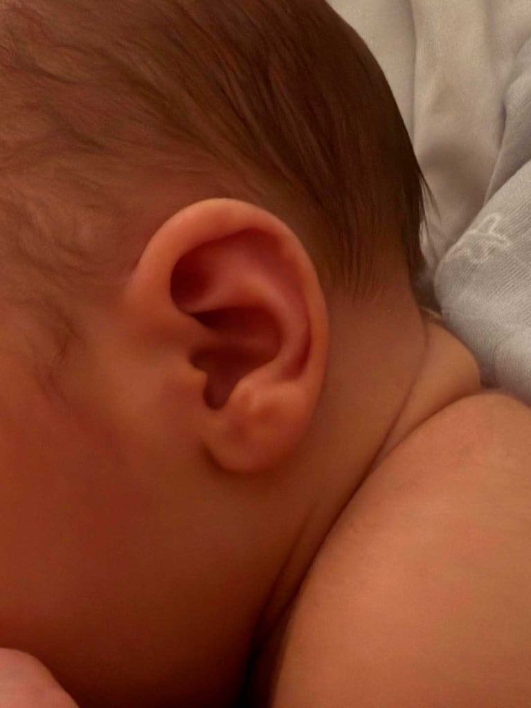 Dante Darín (Foto: Instagram @ursulolita)