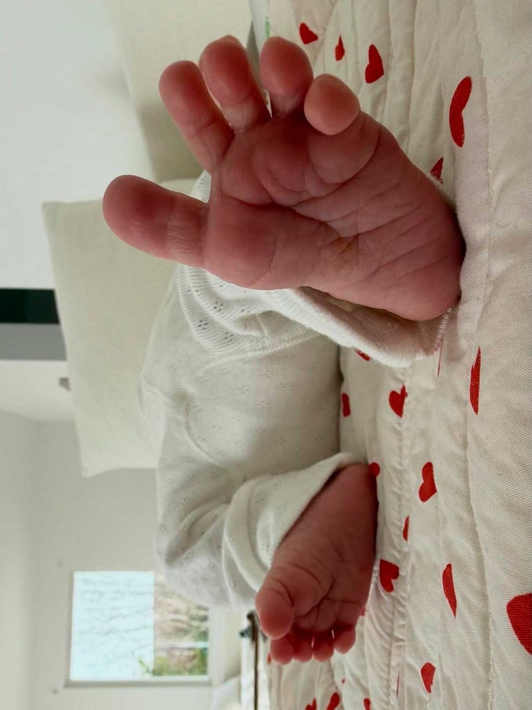 Dante Darín  (Foto: Instagram @ursulolita)