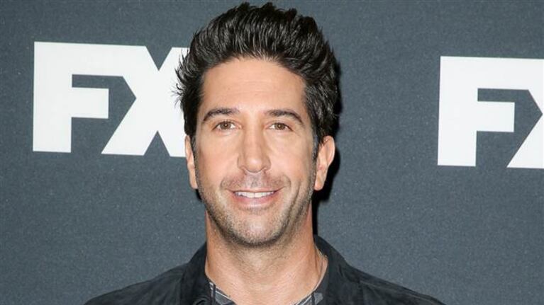 David Schwimmer: su carrera después de Friends