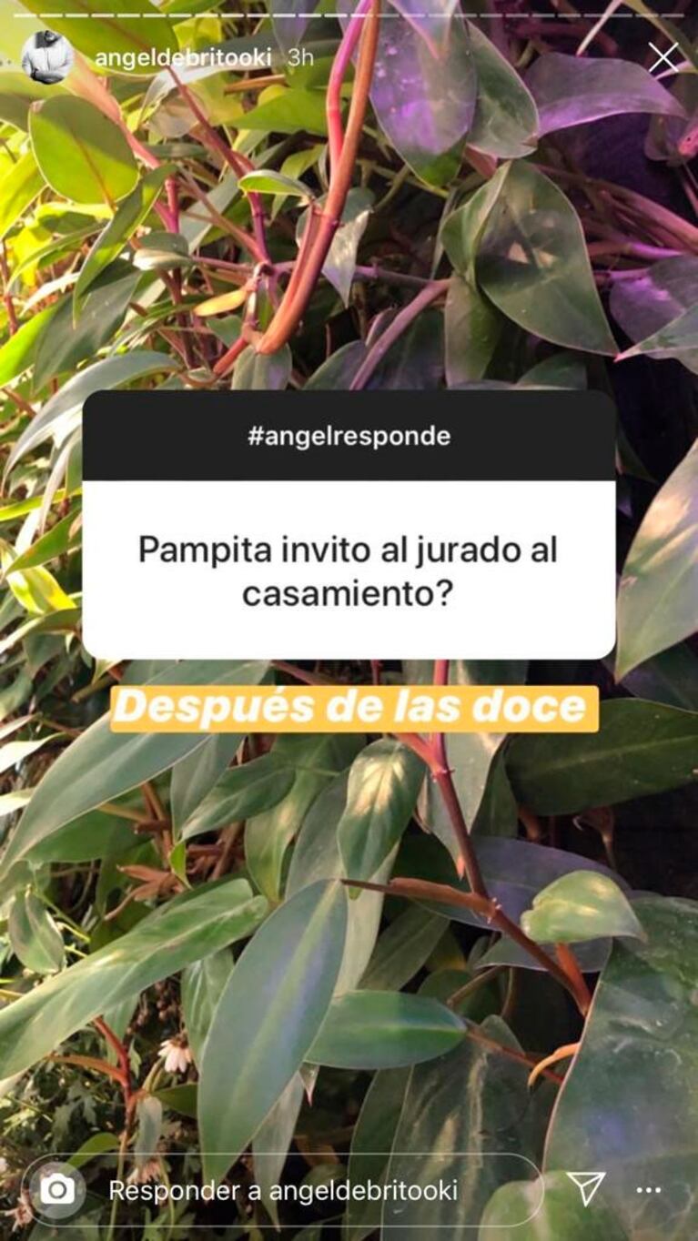 De Brito contó que Pampita invitó al jurado del Súper Bailando a su casamiento después de las doce: "No voy"