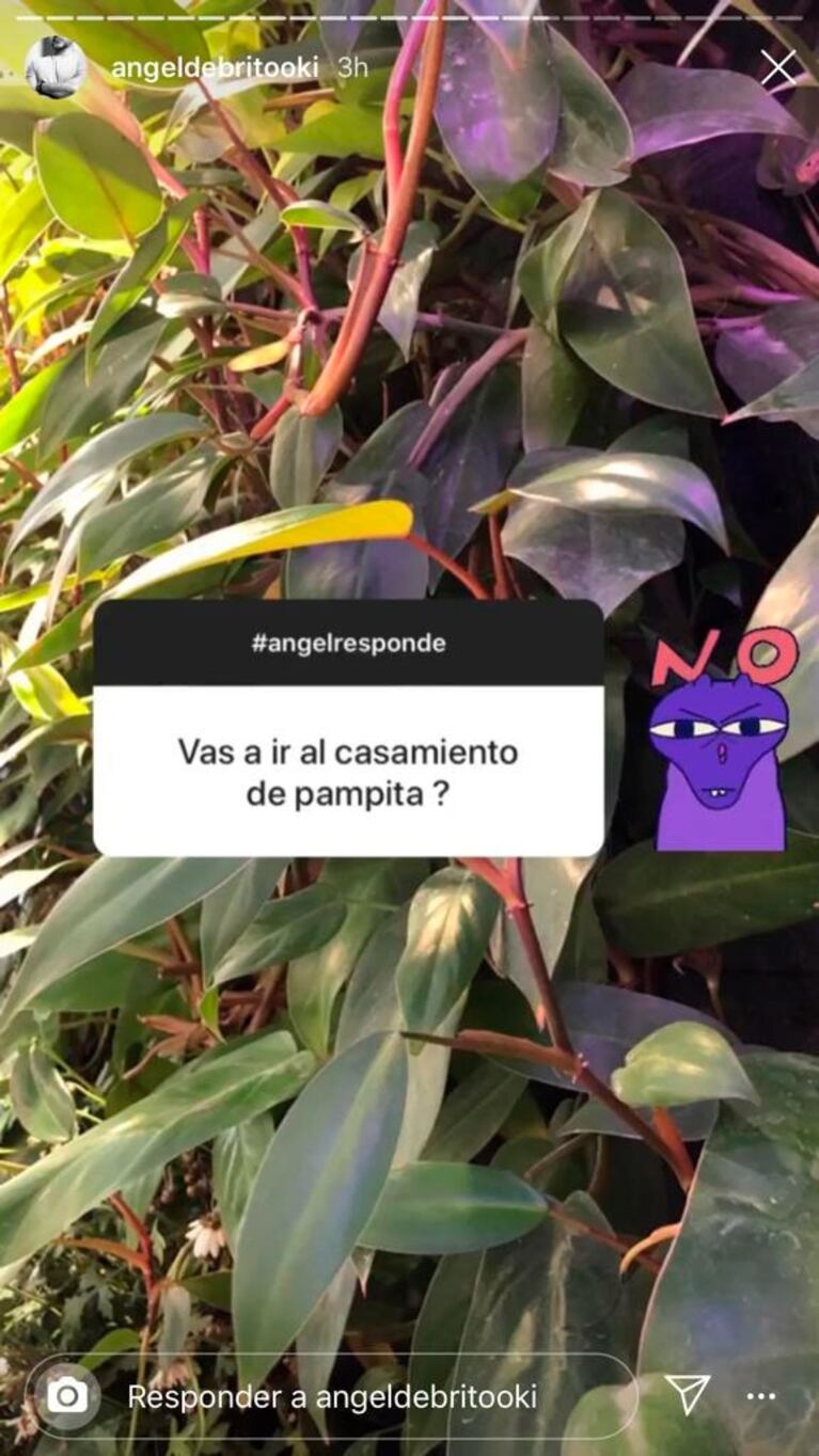 De Brito contó que Pampita invitó al jurado del Súper Bailando a su casamiento después de las doce: "No voy"