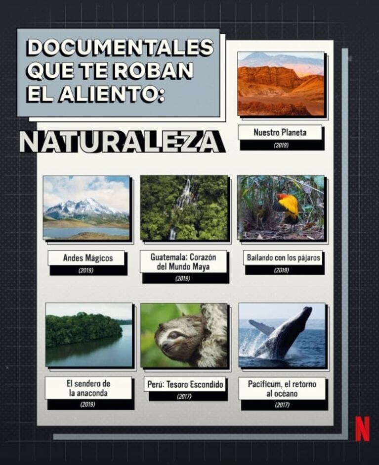 De México a Argentina: todos los documentales latinoamericanos que hay en Netflix