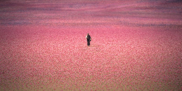 De qué trata La Casa de los Espíritus, la obra maestra de Isabel Allende que arrasa en Prime Video