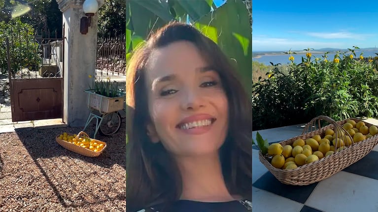 De su jardín a la mesa: la increíble cosecha de Natalia Oreiro y la receta del lemon pie que enamoró a todos (captura de Instagram)