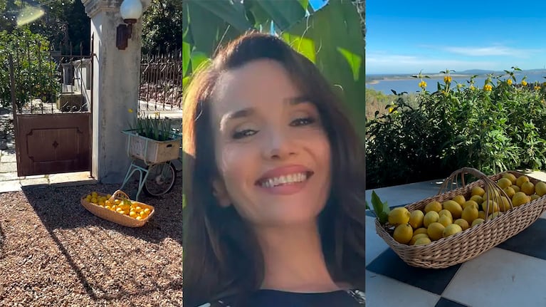De su jardín a la mesa: la increíble cosecha de Natalia Oreiro y la receta del lemon pie que enamoró a todos (captura de Instagram)