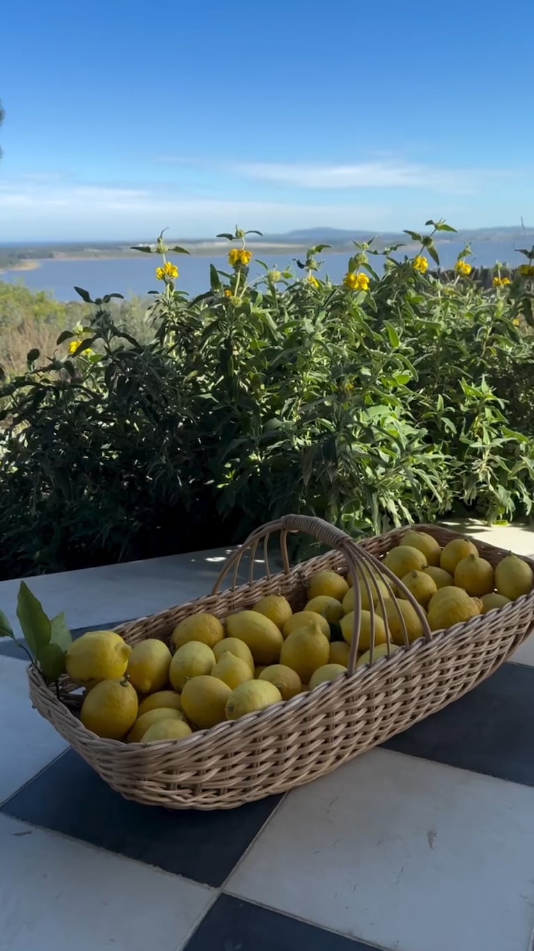 De su jardín a la mesa: la increíble cosecha de Natalia Oreiro y la receta del lemon pie que enamoró a todos (captura de Instagram)