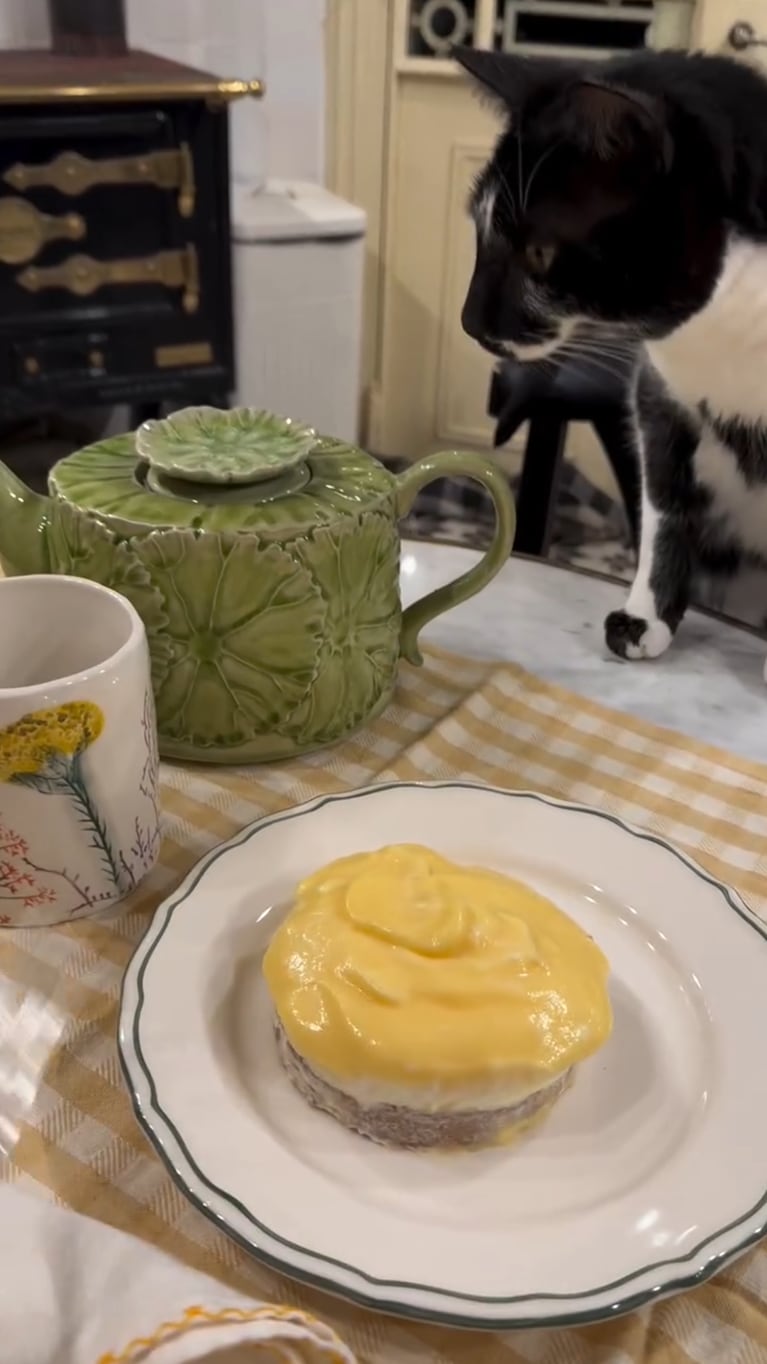 De su jardín a la mesa: la increíble cosecha de Natalia Oreiro y la receta del lemon pie que enamoró a todos (captura de Instagram)