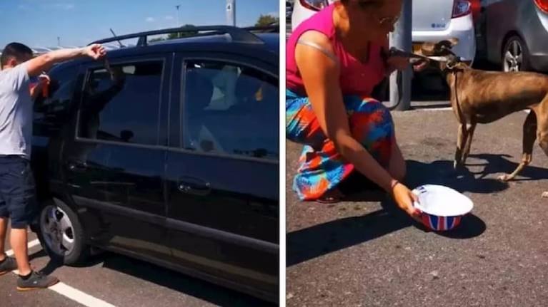 Decidió romper la ventana de un auto para rescatar un perro y fue viral