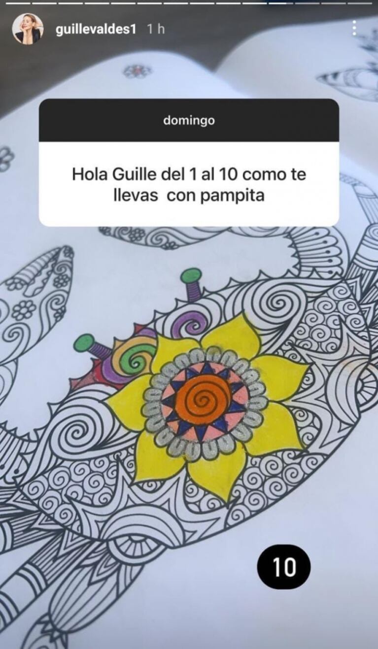 Del 1 al 10: Guillermina Valdés le puso puntaje a su relación con Pampita
