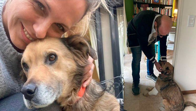 Denise Dumas se emocionó al recibir a una perrita rescatada en su hogar.