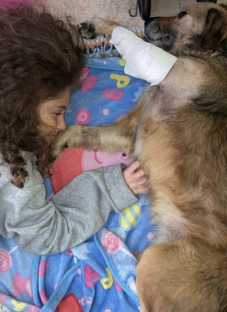 Denise Dumas se emocionó al recibir a una perrita rescatada en su hogar: "Nunca sentí tanto agradecimiento" 