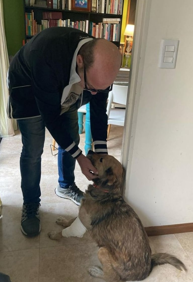 Denise Dumas se emocionó al recibir a una perrita rescatada en su hogar: "Nunca sentí tanto agradecimiento" 