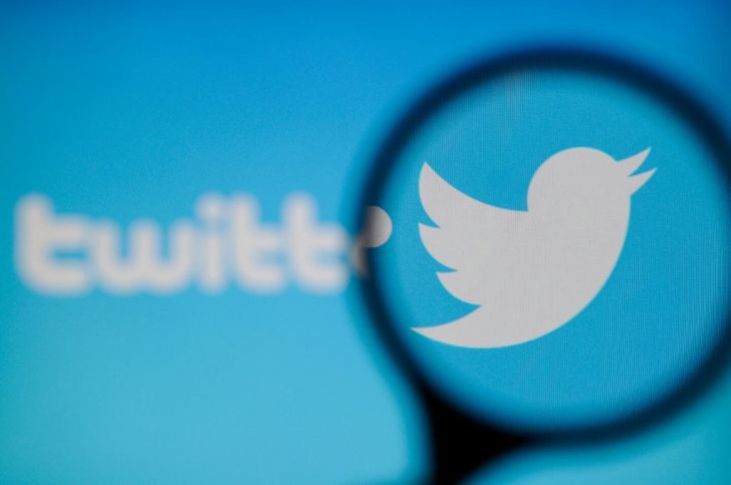 Descubrí por qué Twitter perderá el 6% de sus usuarios