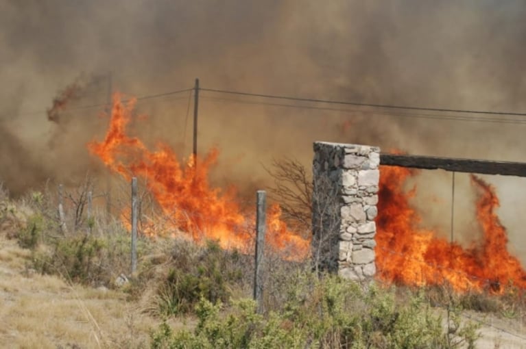 Desesperantes imágenes de Damián de Santo combatiendo el fuego que acecha a sus cabañas en Villa Giardino