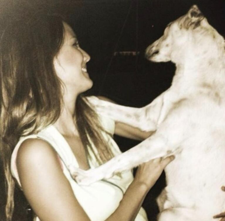 Desgarrador posteo de Luli Fernández por la muerte de su perro