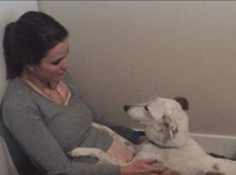 Desgarrador posteo de Luli Fernández por la muerte de su perro
