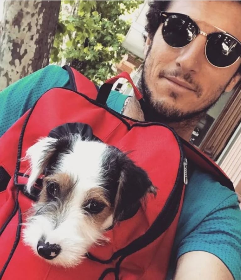 Día del Animal: las 5 mascotas de los famosos que la rompen en Instagram