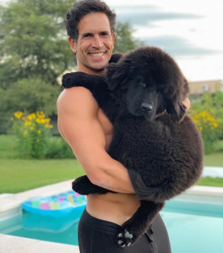 Diego Ramos presentó a Porthos, su nueva mascota, tras la muerte hace un mes de su último perro
