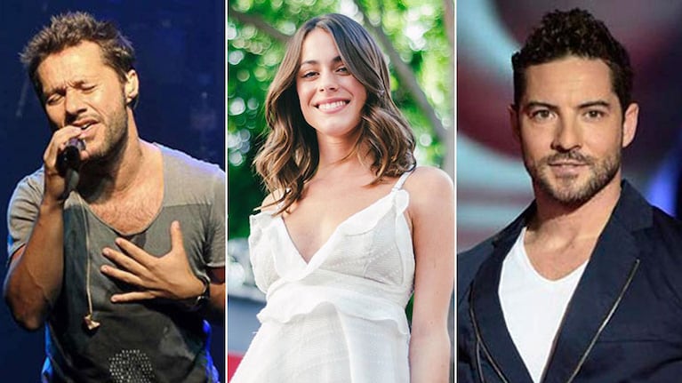 Diego Torres, David Bisbal, Tini Stoessel, CNCO y muchos más, juntos en un show imperdible