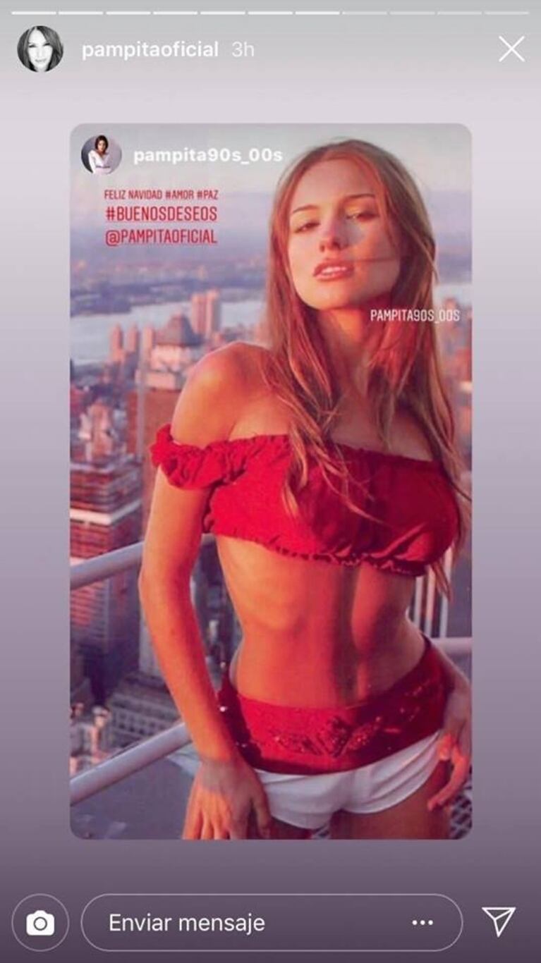 Disfrazada con prendas navideñas, Pampita les deseó a sus seguidores unas felices fiestas 