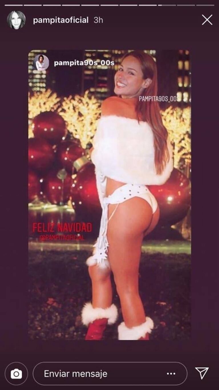 Disfrazada con prendas navideñas, Pampita les deseó a sus seguidores unas felices fiestas 